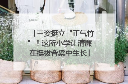 三姿挺立“正气竹”！这所小学让清廉在挺拔脊梁中生长