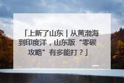 上新了山东｜从黄渤海到印度洋，山东版“零碳攻略”有多能打？
