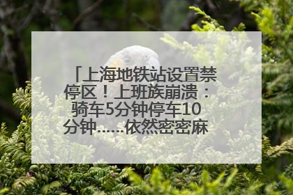 上海地铁站设置禁停区！上班族崩溃：骑车5分钟停车10分钟……依然密密麻麻无从下脚？