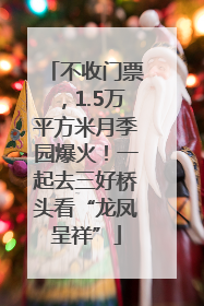 不收门票，1.5万平方米月季园爆火！一起去三好桥头看“龙凤呈祥”
