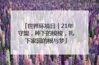 世界环境日｜21年守望，种下的梭梭，扎下家园的根与梦