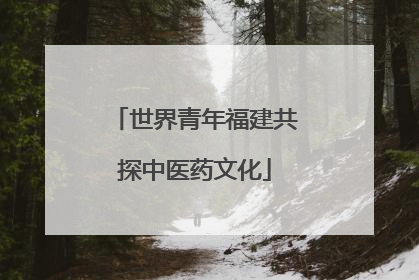 世界青年福建共探中医药文化