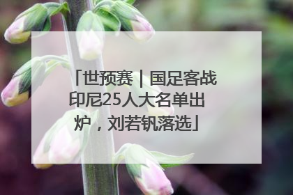 世预赛｜国足客战印尼25人大名单出炉，刘若钒落选