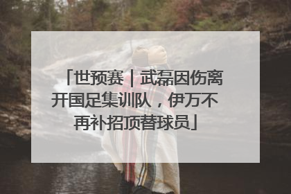 世预赛｜武磊因伤离开国足集训队，伊万不再补招顶替球员