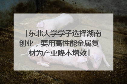 东北大学学子选择湖南创业，要用高性能金属复材为产业降本增效