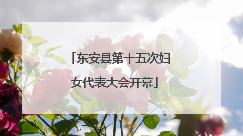 东安县第十五次妇女代表大会开幕