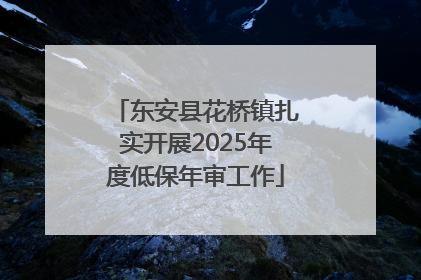 东安县花桥镇扎实开展2025年度低保年审工作