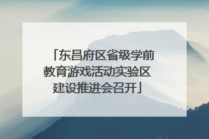东昌府区省级学前教育游戏活动实验区建设推进会召开