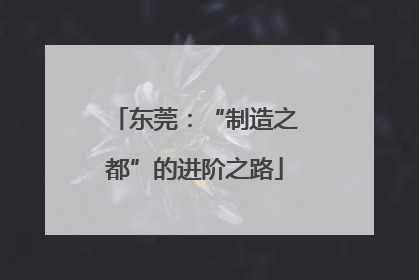东莞：“制造之都”的进阶之路