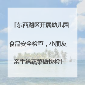 东西湖区开展幼儿园食品安全检查，小朋友亲手给蔬菜做快检