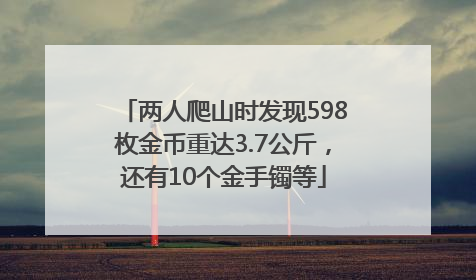 两人爬山时发现598枚金币重达3.7公斤，还有10个金手镯等