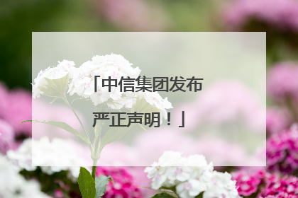 中信集团发布严正声明！