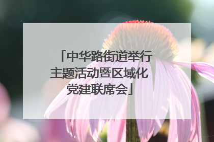 中华路街道举行主题活动暨区域化党建联席会