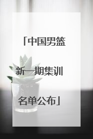 中国男篮新一期集训名单公布