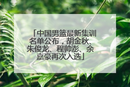 中国男篮最新集训名单公布，胡金秋、朱俊龙、程帅澎、余嘉豪再次入选