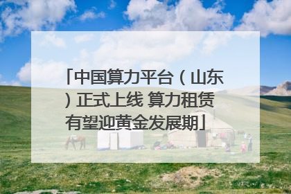 中国算力平台（山东）正式上线 算力租赁有望迎黄金发展期