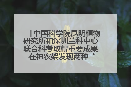中国科学院昆明植物研究所和深圳兰科中心联合科考取得重要成果 在神农架发现两种“国保”级兰花