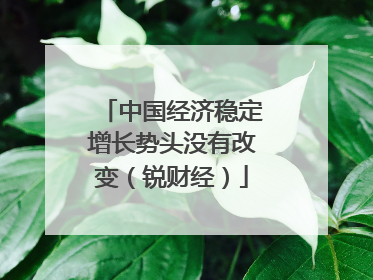 中国经济稳定增长势头没有改变（锐财经）
