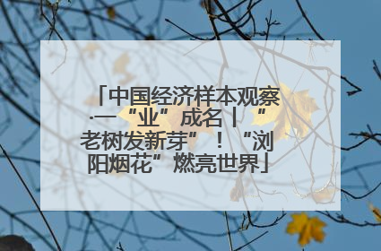 中国经济样本观察·一“业”成名丨“老树发新芽”！“浏阳烟花”燃亮世界
