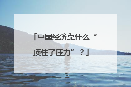 中国经济靠什么“顶住了压力”？