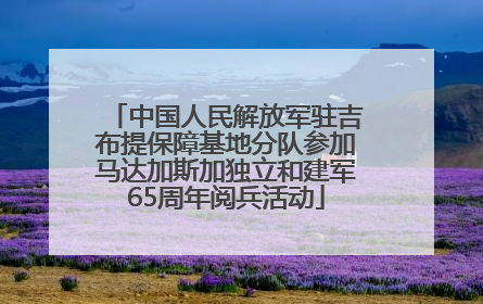 中国人民解放军驻吉布提保障基地分队参加马达加斯加独立和建军65周年阅兵活动