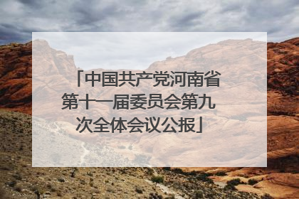 中国共产党河南省第十一届委员会第九次全体会议公报