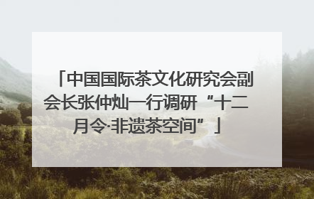 中国国际茶文化研究会副会长张仲灿一行调研“十二月令·非遗茶空间”