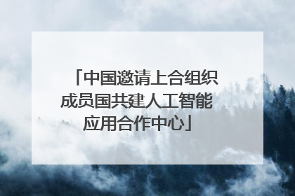中国邀请上合组织成员国共建人工智能应用合作中心
