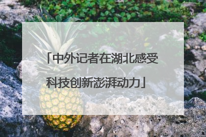 中外记者在湖北感受科技创新澎湃动力