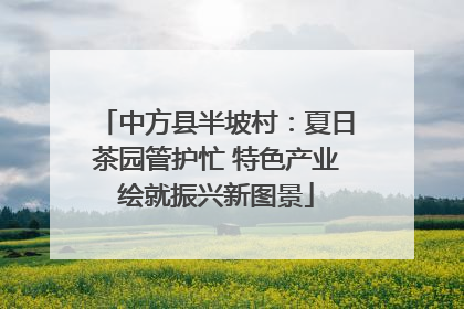 中方县半坡村：夏日茶园管护忙 特色产业绘就振兴新图景