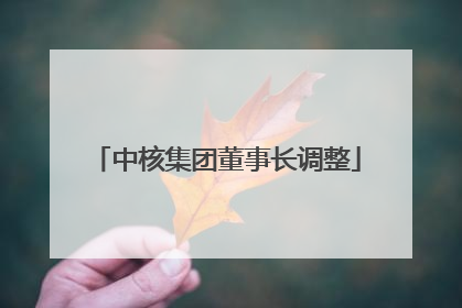 中核集团董事长调整