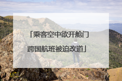 乘客空中欲开舱门 跨国航班被迫改道