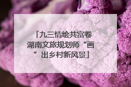 九三情绘共富卷 湖南文旅规划师“画”出乡村新风景