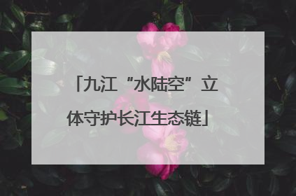 九江“水陆空”立体守护长江生态链