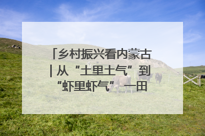 乡村振兴看内蒙古｜从“土里土气”到“虾里虾气” 一田双收模式火出圈