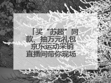 买“苏超”同款、抽万元礼包 京东运动采销直播间带你现场沉浸式看球赛