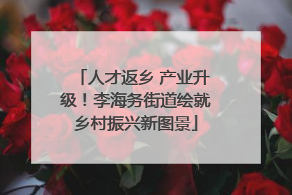 人才返乡 产业升级！李海务街道绘就乡村振兴新图景
