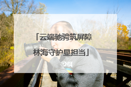 云端驰骋筑屏障 林海守护显担当