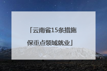 云南省15条措施保重点领域就业