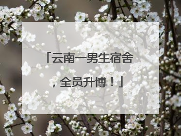 云南一男生宿舍，全员升博！