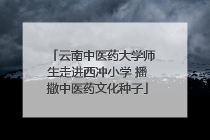 云南中医药大学师生走进西冲小学 播撒中医药文化种子