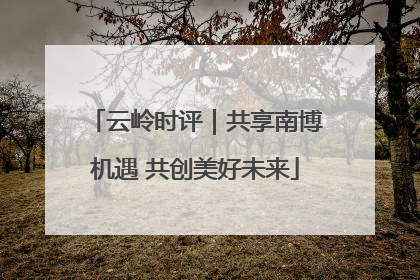 云岭时评｜共享南博机遇 共创美好未来