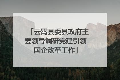 云霄县委县政府主要领导调研党建引领国企改革工作