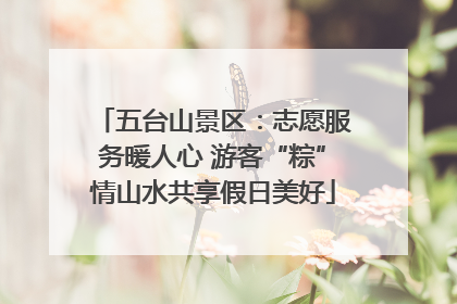五台山景区：志愿服务暖人心 游客“粽”情山水共享假日美好