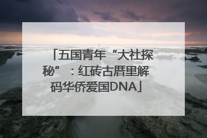 五国青年“大社探秘”：红砖古厝里解码华侨爱国DNA