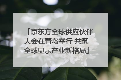 京东方全球供应伙伴大会在青岛举行 共筑全球显示产业新格局