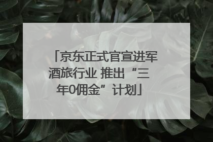 京东正式官宣进军酒旅行业 推出“三年0佣金”计划