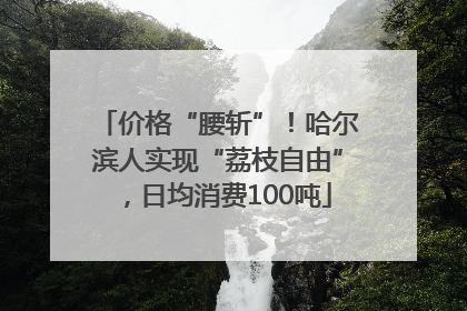 价格“腰斩”！哈尔滨人实现“荔枝自由”，日均消费100吨