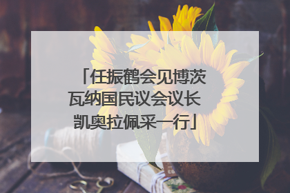 任振鹤会见博茨瓦纳国民议会议长凯奥拉佩采一行