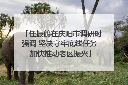 任振鹤在庆阳市调研时强调 坚决守牢底线任务 加快推动老区振兴